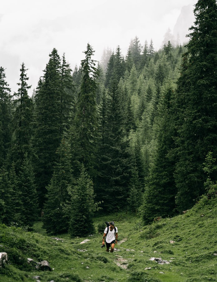 ein Mann und eine Frau, die durch einen üppigen grünen Wald gehen.