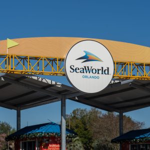 SeaWorld Orlando gibt Eröffnungsdatum für neue Achterbahn bekannt