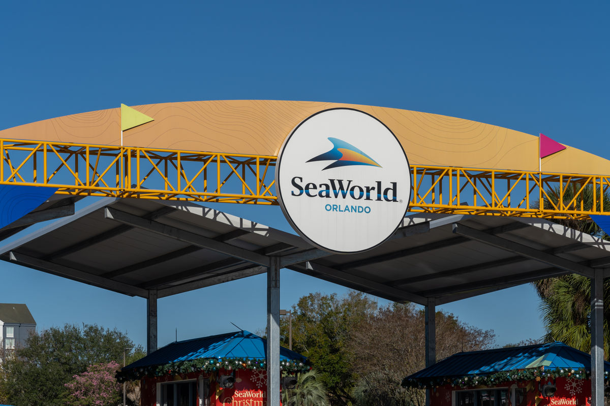 SeaWorld Orlando gibt Eröffnungsdatum für neue Achterbahn bekannt